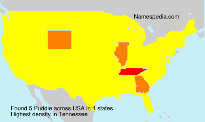 Surname Puddle in USA Surname Puddle in USA