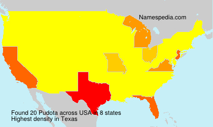 Surname Pudota in USA Surname Pudota in USA