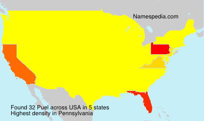 Surname Puel in USA Surname Puel in USA