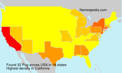 Surname Pug in USA Surname Pug in USA