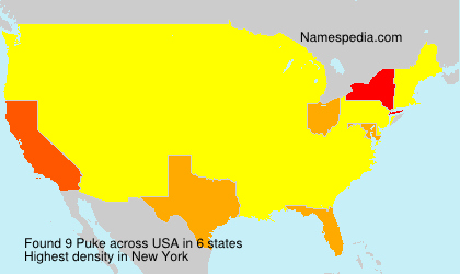 Surname Puke in USA Surname Puke in USA