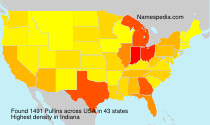 Surname Pullins in USA Surname Pullins in USA