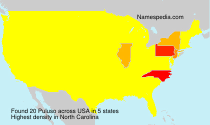 Surname Puluso in USA Surname Puluso in USA