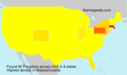 Surname Pungitore in USA Surname Pungitore in USA