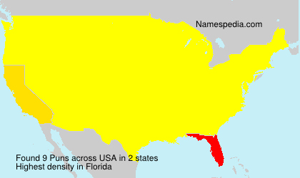 Surname Puns in USA Surname Puns in USA