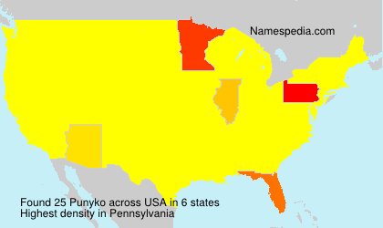 Surname Punyko in USA Surname Punyko in USA