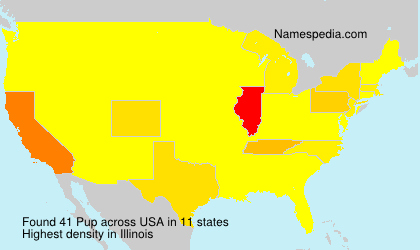 Surname Pup in USA Surname Pup in USA