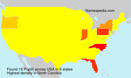 Surname Pupilli in USA Surname Pupilli in USA