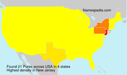 Surname Pures in USA Surname Pures in USA