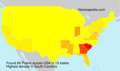 Surname Pusha in USA Surname Pusha in USA