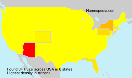 Surname Puzzi in USA Surname Puzzi in USA