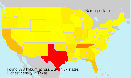 Surname Pyburn in USA