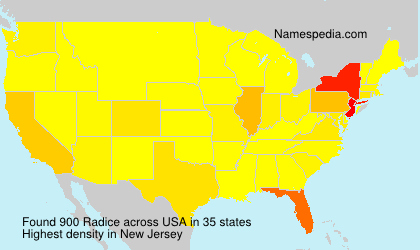 Surname Radice in USA Surname Radice in USA
