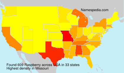 Surname Raspberry in USA Surname Raspberry in USA