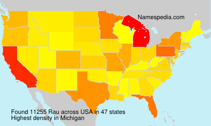 Familiennamen Rau - USA