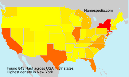 Surname Rauf in USA Surname Rauf in USA