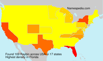 Surname Raybin in USA Surname Raybin in USA