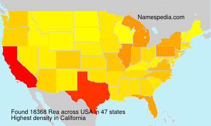 Surname Rea in USA Surname Rea in USA