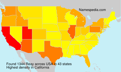 Surname Reay in USA