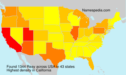 Surname Reay in USA Surname Reay in USA