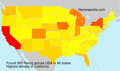 Surname Reinig in USA Surname Reinig in USA