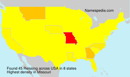 Surname Reissing in USA Surname Reissing in USA