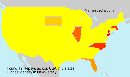 Repsys Repsys