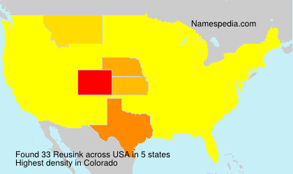 Surname Reusink in USA Surname Reusink in USA