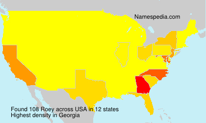 Surname Roey in USA Surname Roey in USA