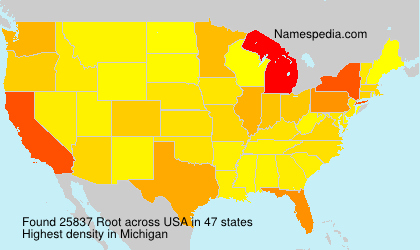 Surname Root in USA Surname Root in USA