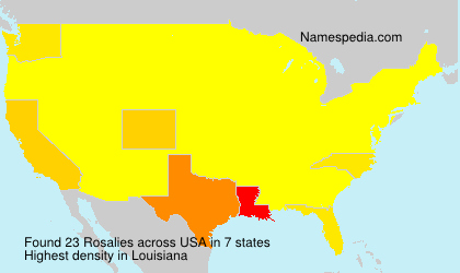 Surname Rosalies in USA Surname Rosalies in USA