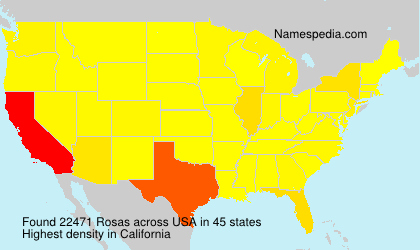 Rosas Rosas