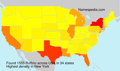 Surname Ruffino in USA Surname Ruffino in USA