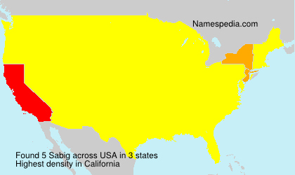 Surname Sabig in USA