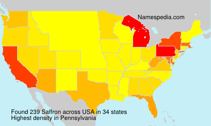Surname Saffron in USA Surname Saffron in USA