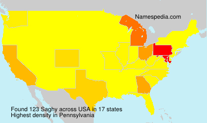 Surname Saghy in USA Surname Saghy in USA
