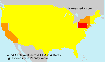 Surname Salavati in USA