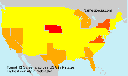 Surname Saleena in USA Surname Saleena in USA