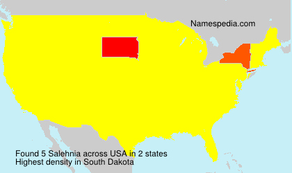 Surname Salehnia in USA Surname Salehnia in USA