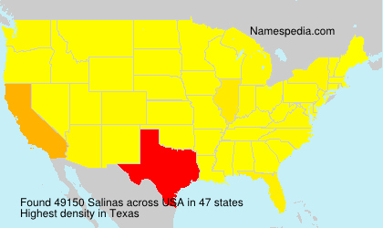 Surname Salinas in USA