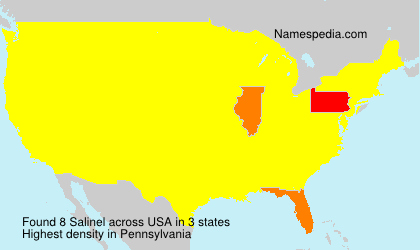 Surname Salinel in USA Surname Salinel in USA