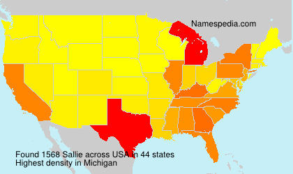 Surname Sallie in USA Surname Sallie in USA