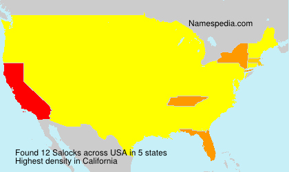 Surname Salocks in USA