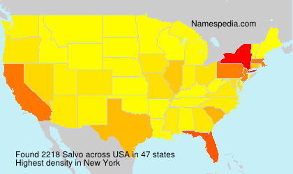 Surname Salvo in USA