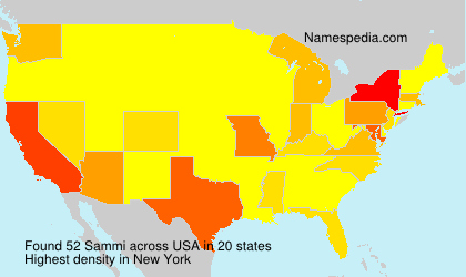Surname Sammi in USA