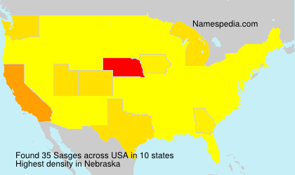 Surname Sasges in USA Surname Sasges in USA