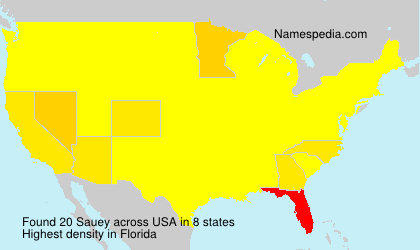 Surname Sauey in USA Surname Sauey in USA