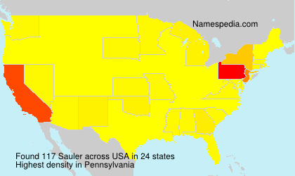 Surname Sauler in USA Surname Sauler in USA