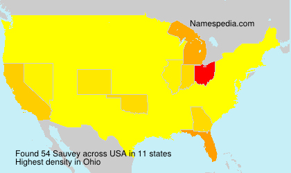 Surname Sauvey in USA