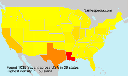 Savant Savant